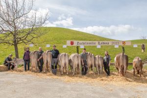 80 LADINA CH 120.0724.2212.7 Suter-Sigrist Othmar 2.Beurteilung IMGL5155